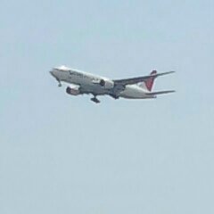 飛行機