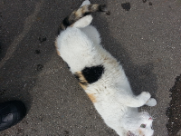 rblog-20140301124934-01.png