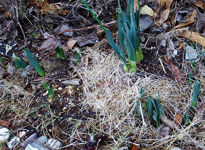 DSCF2272.jpg
