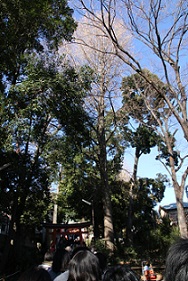 IMG_6281-1.jpg