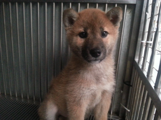20150419_140338.jpg