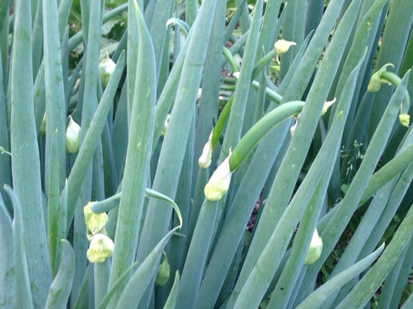 rblog-20160416000246-01.jpg