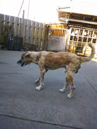 20130715a.jpg