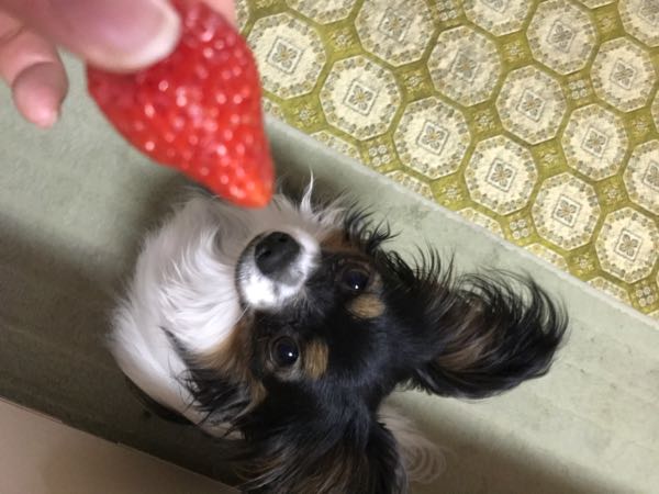 rblog-20170121200843-03.jpg