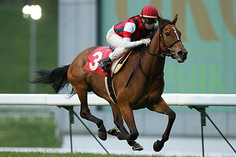 メイセイオペラが過ごした牧場へ 藤田菜七子騎手1年ぶりの盛岡参戦 地方競馬の楽天競馬 日替わりライターブログ 楽天ブログ