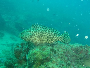 PA279675.JPG