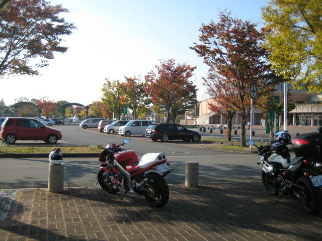 IMG_9753.JPG