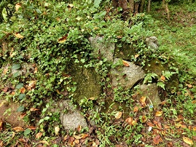 isigaki