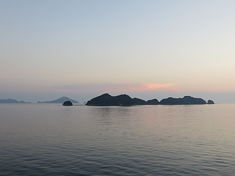 IMG_4630.jpg