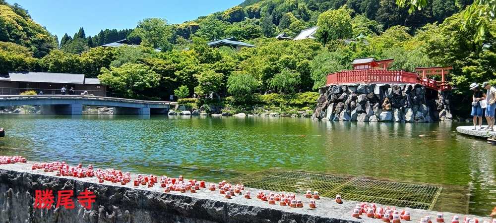 悠遊自手記@kyoto
