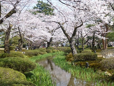 P1090781.jpg