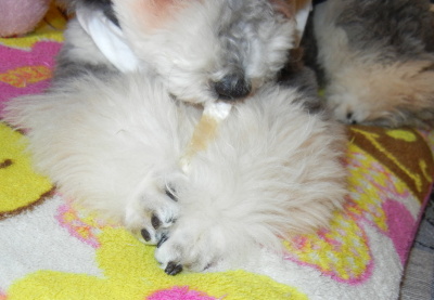 Liz 20120556.jpg