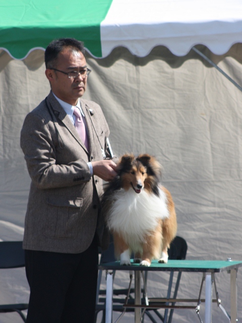 IMG_1021 - コピー.JPG