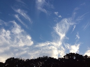 sky1.jpg