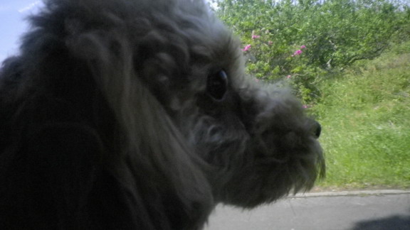 IMGP1190 2.jpg