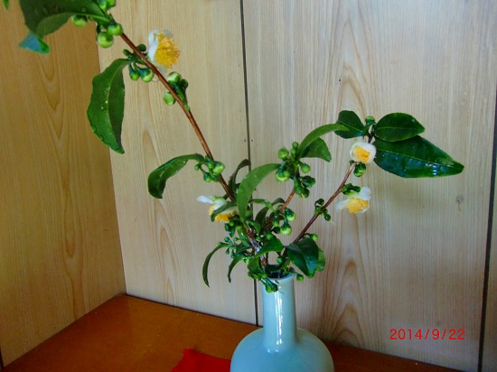 小さな伊豆の秋、見ぃ～付けた、 041.jpg