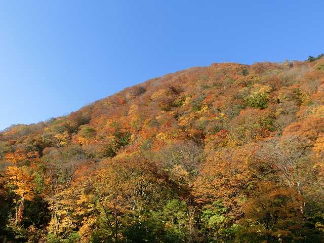 CIMG0906.jpg