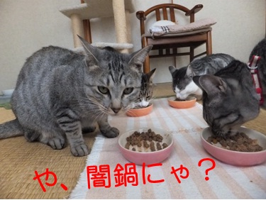 20121112_5.jpg