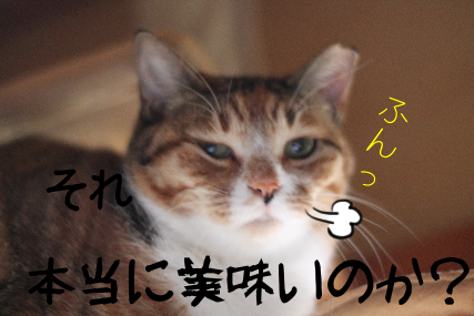 IMG_1410.png