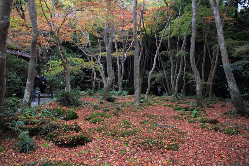 祇王寺_005.jpg