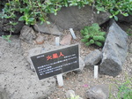 火星人.jpg