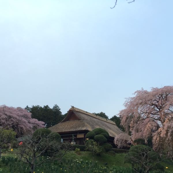 rblog-20160411215911-01.jpg