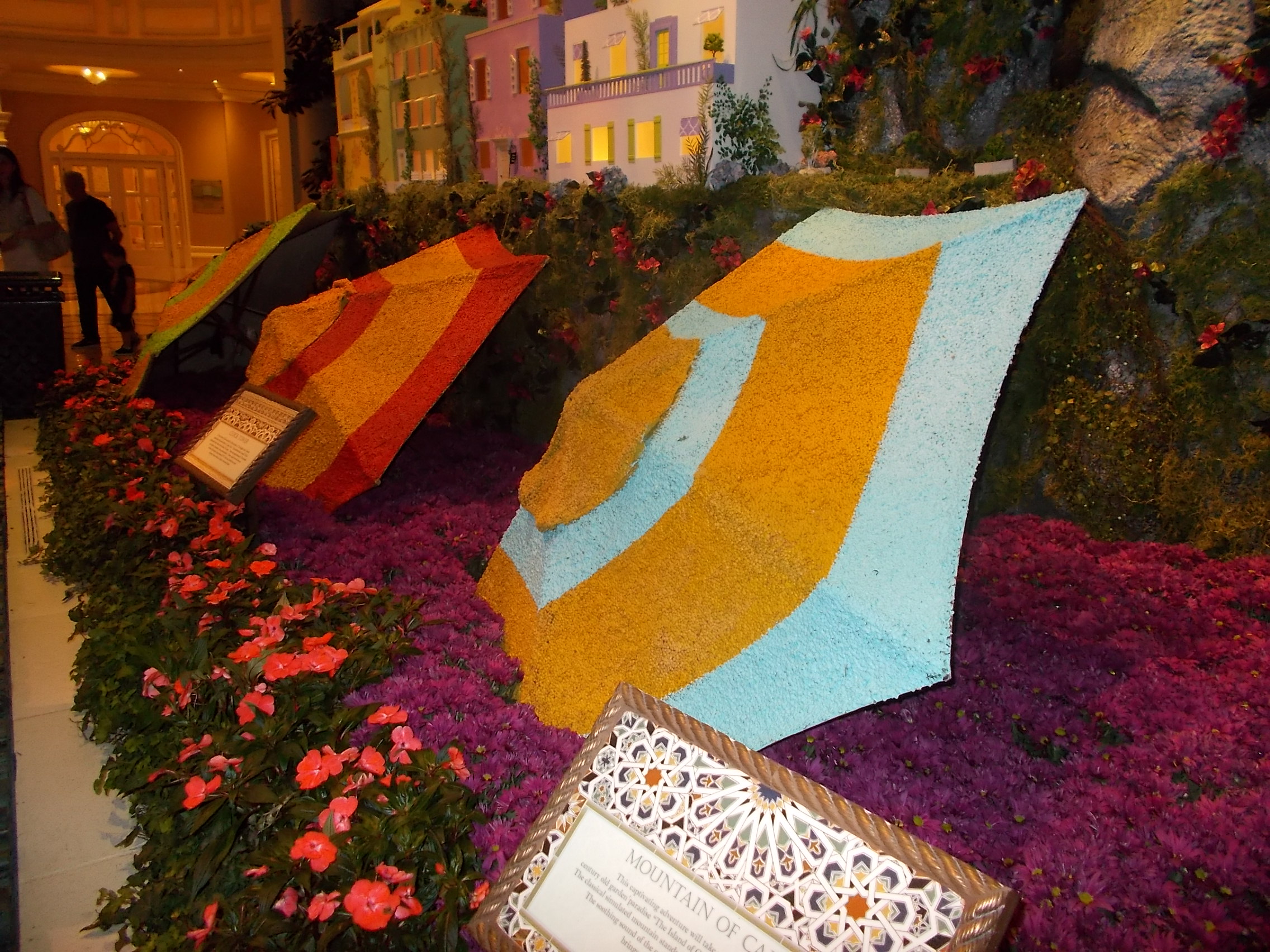 DSCN2329.JPG