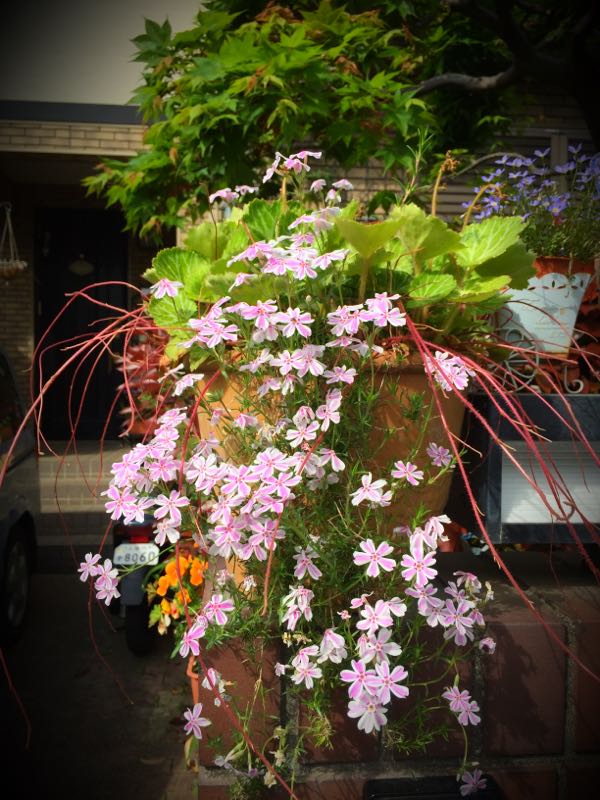 rblog-20150430203606-01.jpg