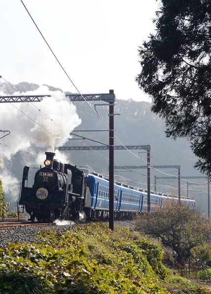 2014.11.23 1号　D7100.jpg