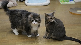 5DA_7554-17.jpg