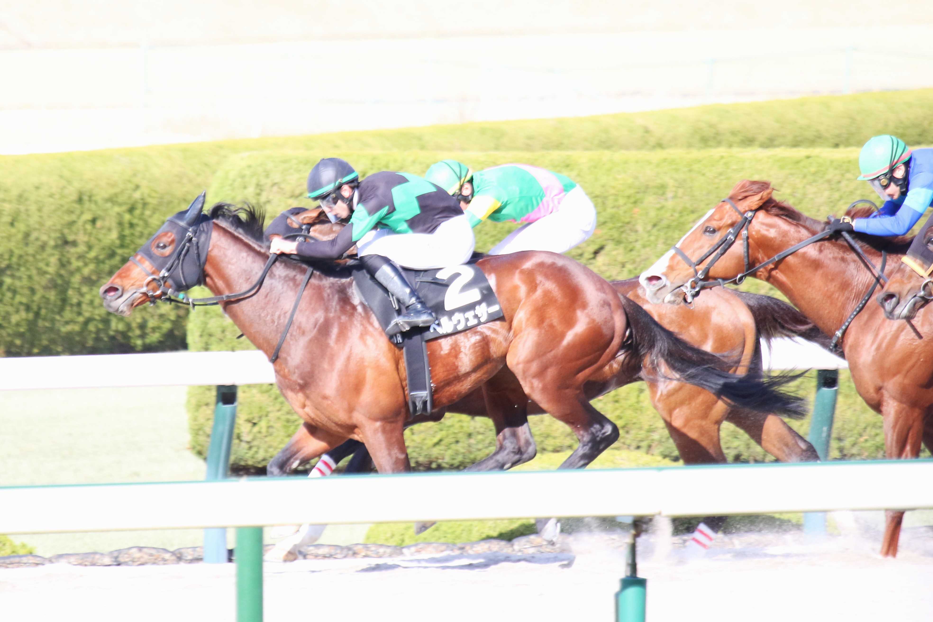 競馬も釣りも大物志向？