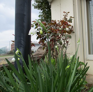 IMG_0061ss.jpg