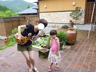 017.jpg