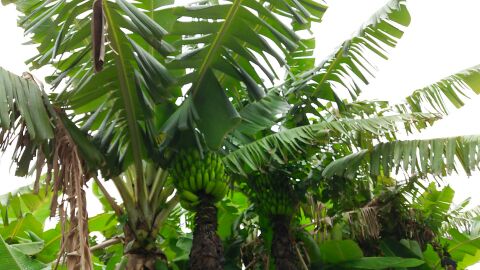 rblog-20140702205529-04.jpg
