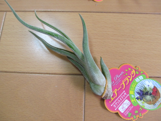 jur03 008.JPG