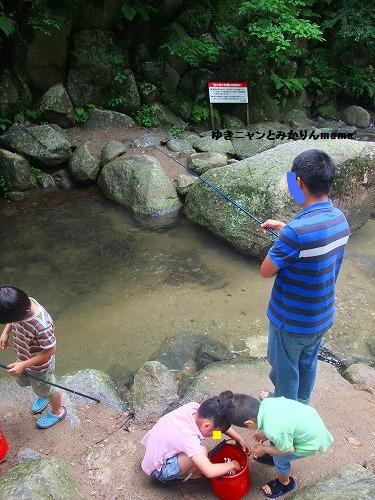 DSCF6681.jpg
