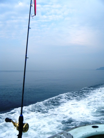 2012_0601.JPG