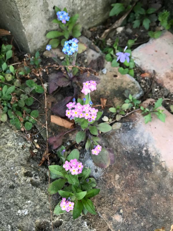 rblog-20180408181337-03.jpg