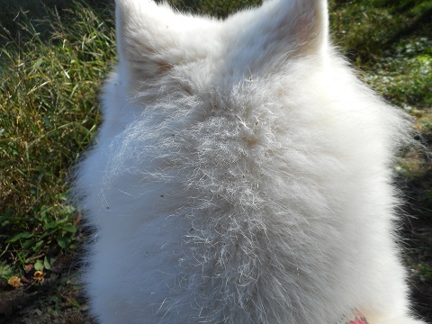 DSCN0572.JPG