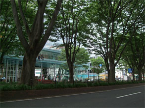 甘座2.jpg