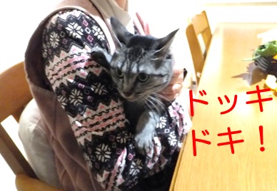 20121106_5.jpg