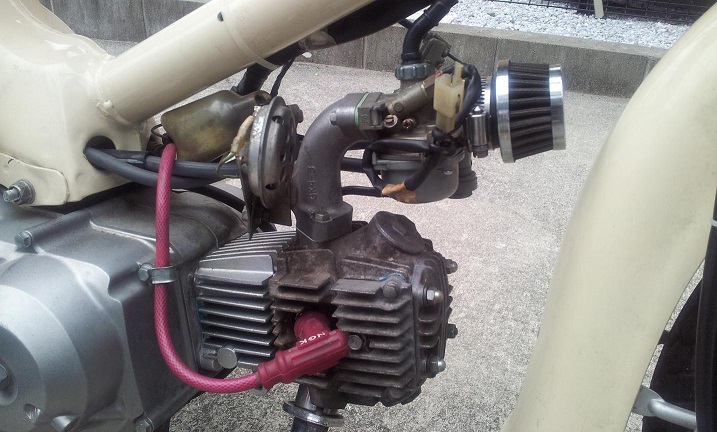 リトルカブ 柊ざえもんのhappylife 楽天ブログ リトルカブ 柊ざえもんのhappylife 楽天ブログ