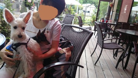 1430832465710.jpg