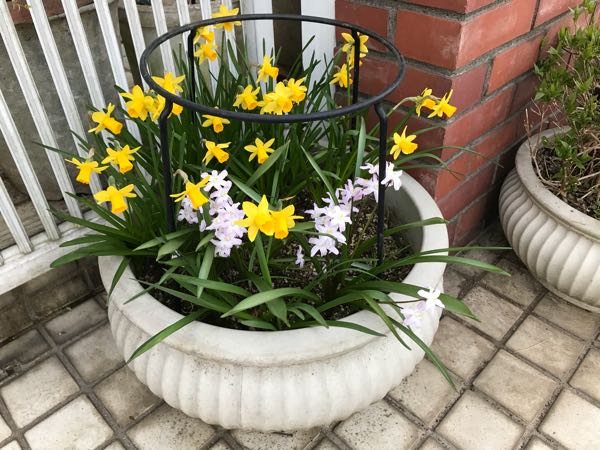rblog-20180325191201-01.jpg