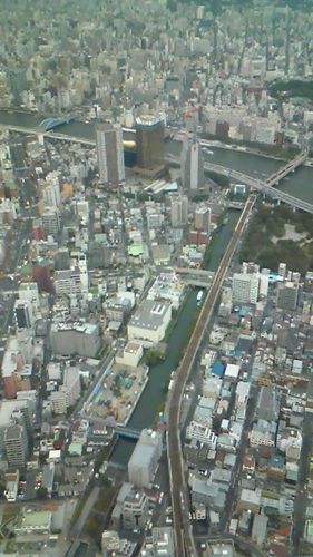 NEC_0206-500.jpg