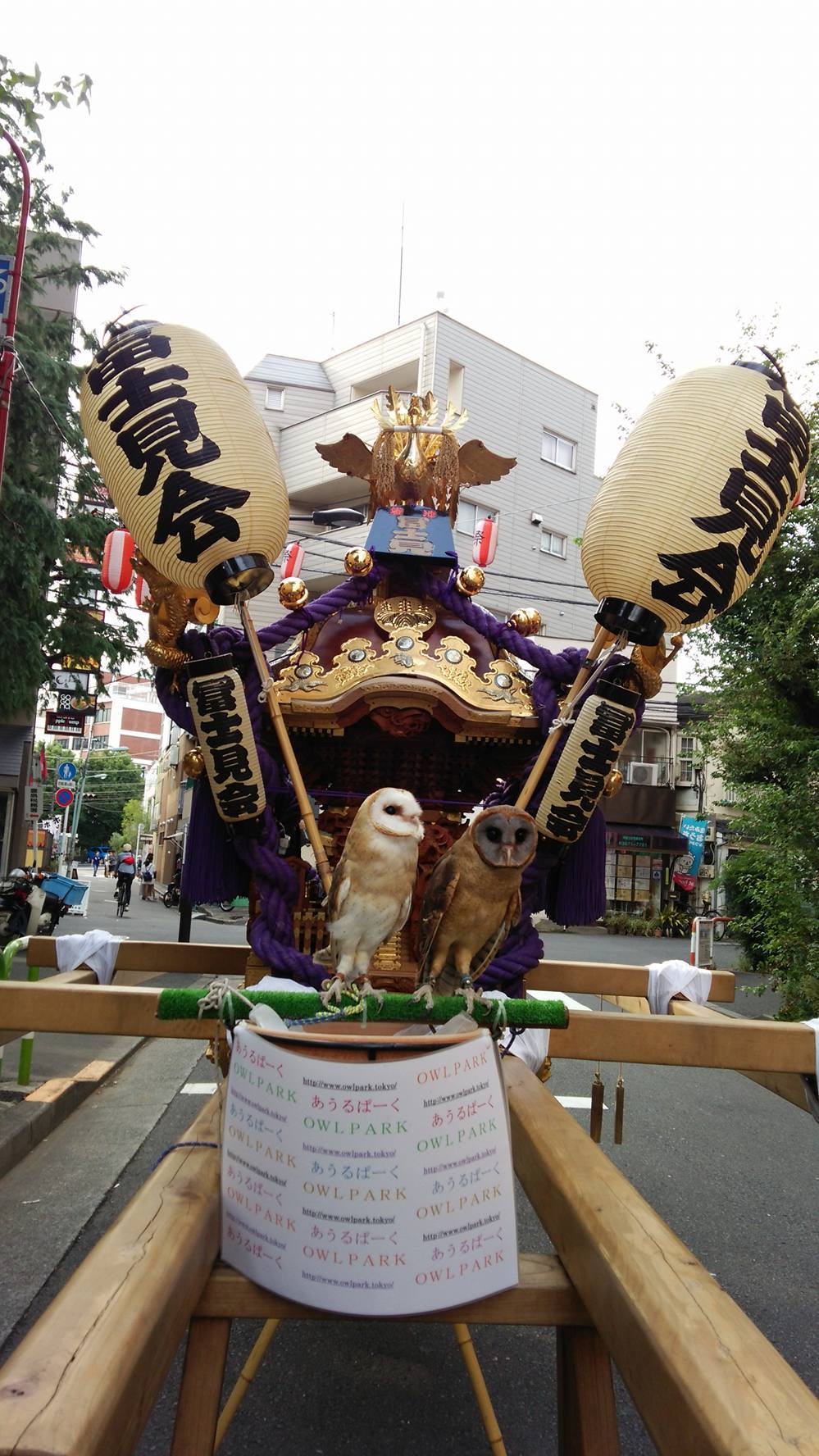 池袋ふくろ祭りでリアルふくろう祭り あうるぱーくフクロウカフェ池袋のブログ 楽天ブログ