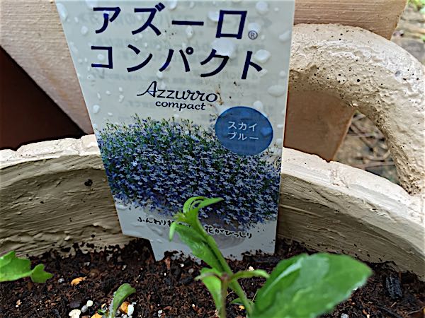 rblog-20160330183433-03.jpg