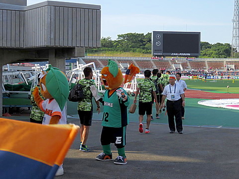 IMG_4898.jpg