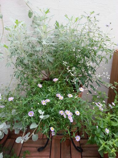 rblog-20140624003627-04.jpg
