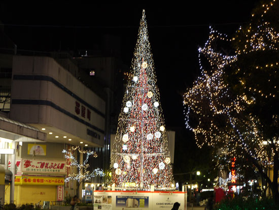 P1200251.jpg